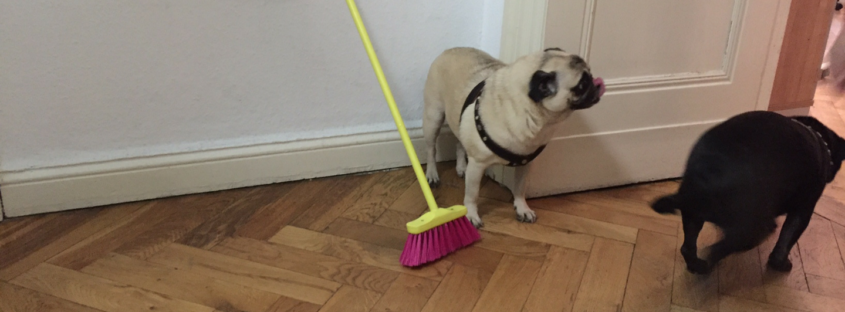 mops