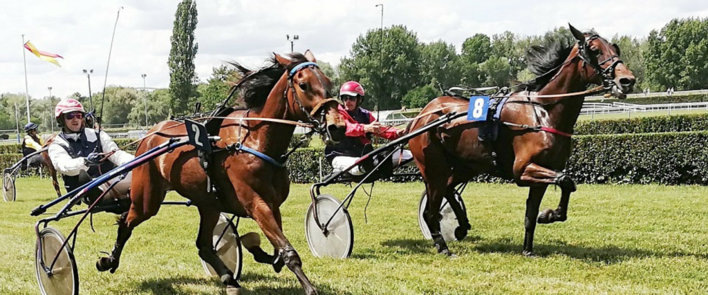 Deutsches TraberDerby BerlinFaces