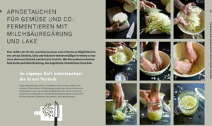 loewenzahn-verlag-magic-fermentation-1-stk-958779-de