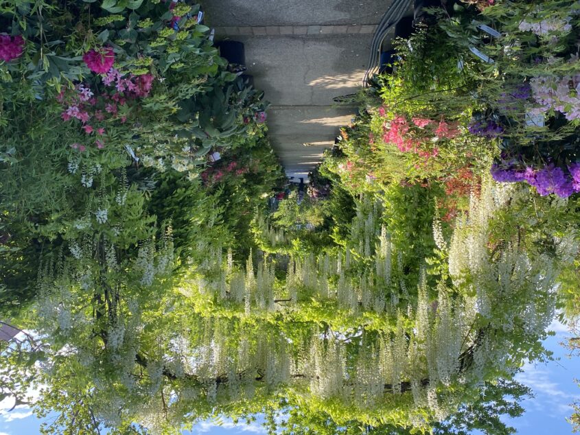 ShoppingTipp Die Königliche Gartenakademie in Dahlem BerlinFaces